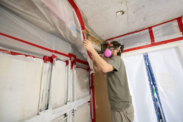 Best Mold Remediation for Healthcare Facilities  in Oceanside, CA
