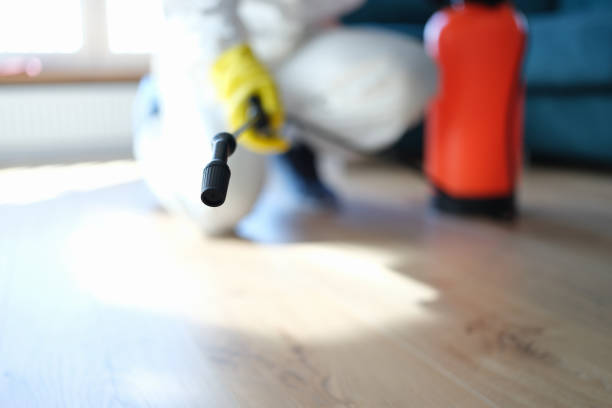Best Biohazard Mold Removal  in Oceanside, CA